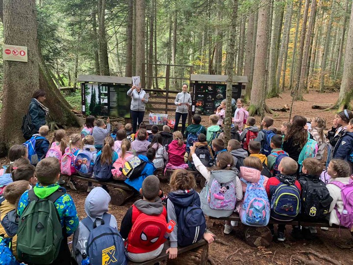 26. ЈАНУАР - СВЕТСКИ ДАН ОБРАЗОВАЊА О ЗАШТИТИ ЖИВОТНЕ СРЕДИНЕ